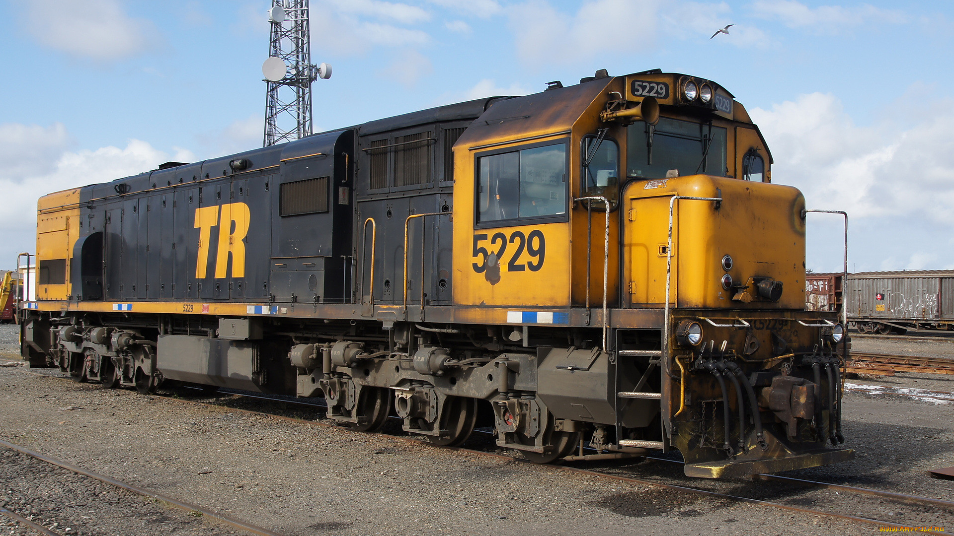 kiwirail dxc 5229 locomotive, , , , , , 